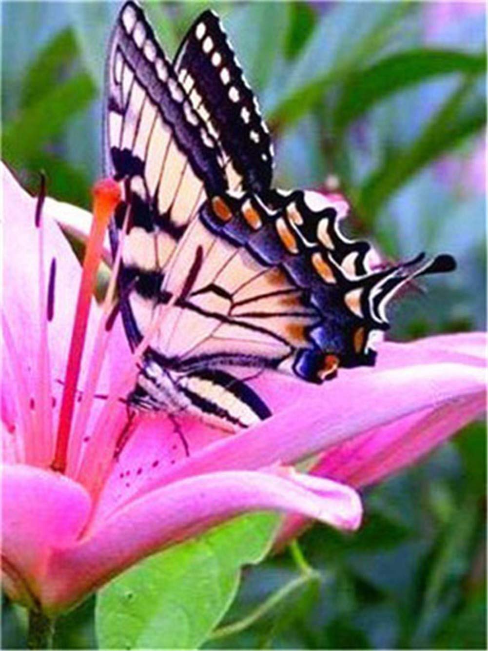 DIY 5D Diamante Pintura Bordado Kits Completo Mariposa flor rosa Diamond Painting Adultos/Niños Rhinestone Punto de Cruz Diamante Arte Artesanía Casa Decor de La Pared Round Drill,70x90cm/28x36inch