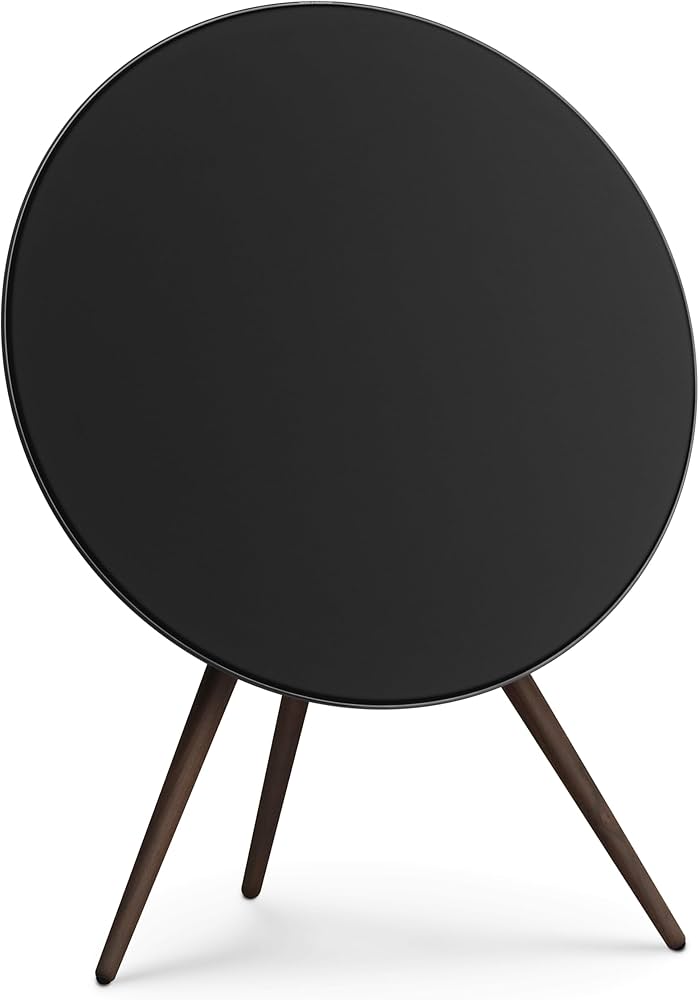 Amazon.com: Bang & Olufsen Beosound A9 (5th Generation) - Iconic