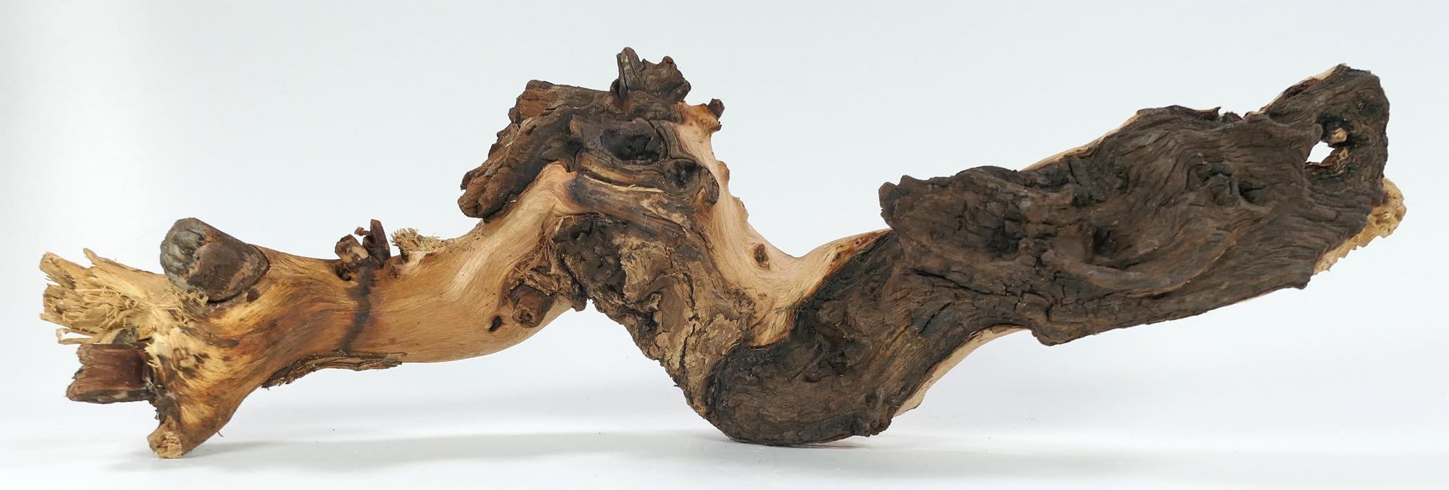 Mopani radice XL // radice in vero legno decorazione per acquario, gamberetti, pesci d'acquario Hard Scape 40 cm - 50 cm (Mangrove Savanna) Aquascaping