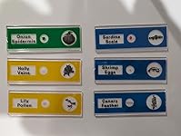 Review Image by Amazon Customer Amazon Customer