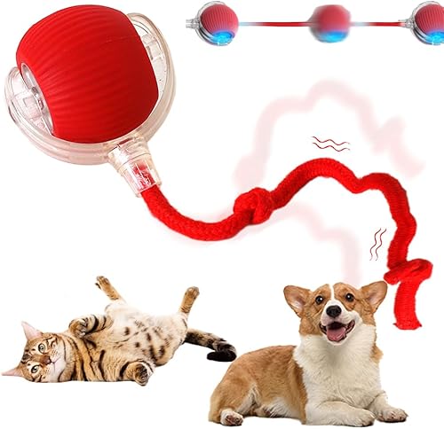 Pelota interactiva de juguetes para gatos de interior, 2025 nuevas bolas rodantes para perros pequeños, juguete interactivo para gatos, juguetes