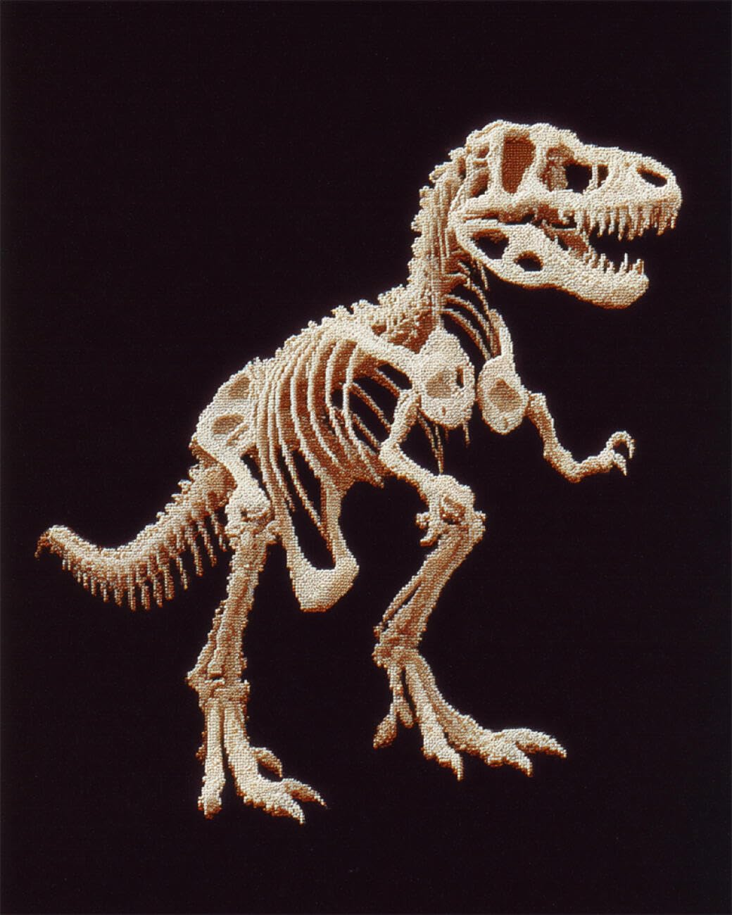 AMBATTERY Animal Tapestry Kit Dinosaur Skeleton Carpet Rug Making Kit，Cross Stitch Embroidery Kits Needlework Crafts for Home Decor 35x46in