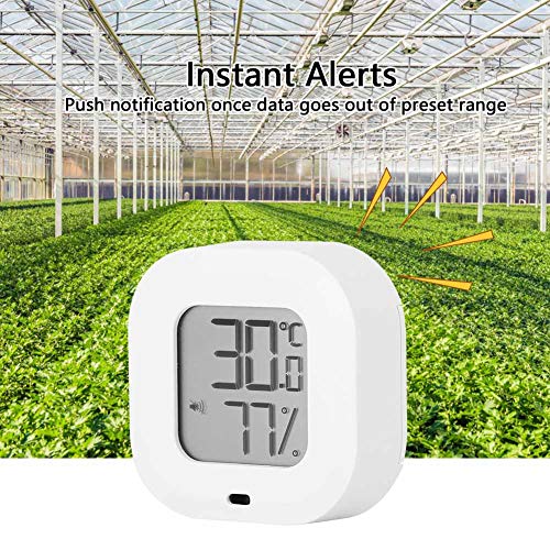 Termômetro Higrômetro, Bluetooth Smart Termômetro Higrômetro Temperatura e Umidade Medidor, Garagem
