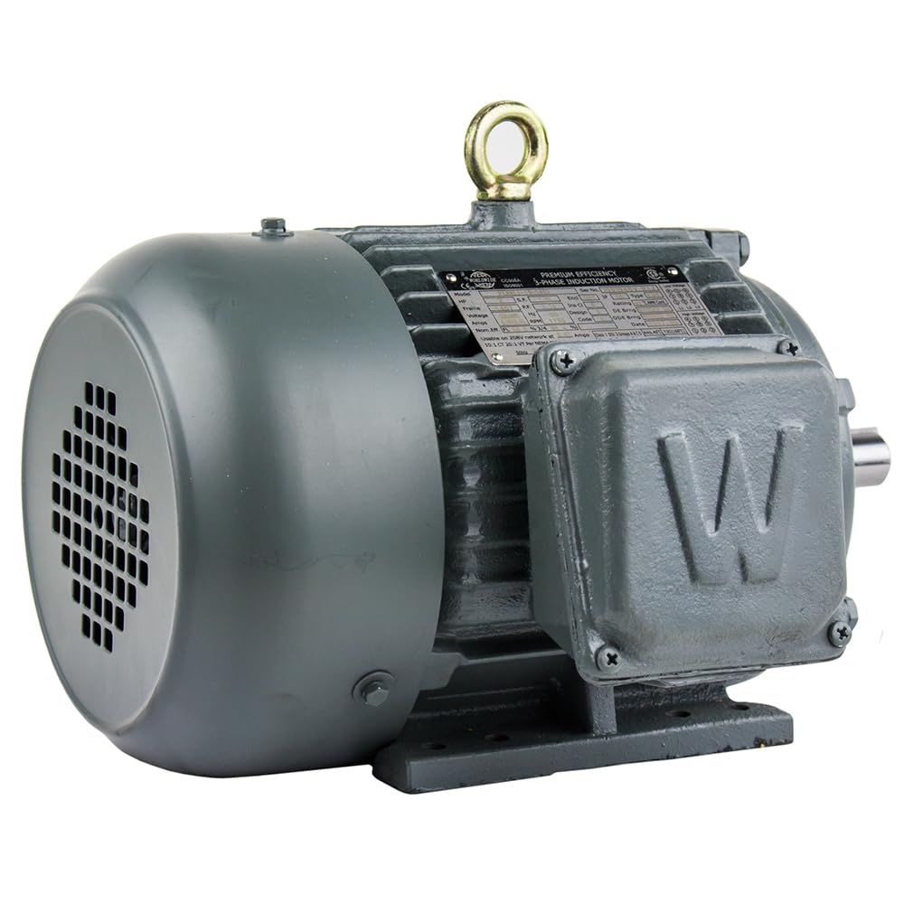 Corporation Worldwide Electric T-Frame Motor PEWWE2-18-145T, GP, TEFC, Rigid, 3 PH, 145T, 208-230/460V, 3.3 FLA