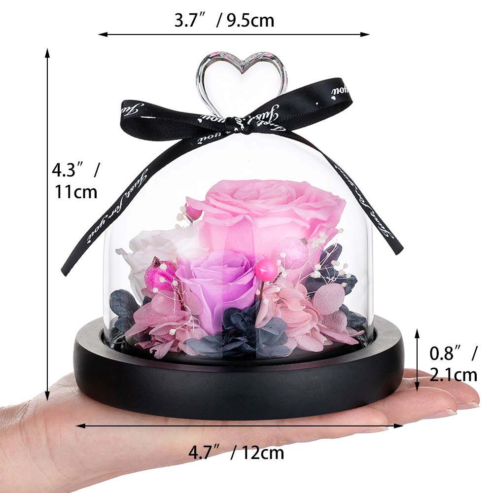 Glasseam Bewaarde roos verjaardagscadeaus voor vrouwen, eeuwige roos met LED -licht, eeuwige roos bruiloft voor vrouw, romantisch kerstcadeau voor haar