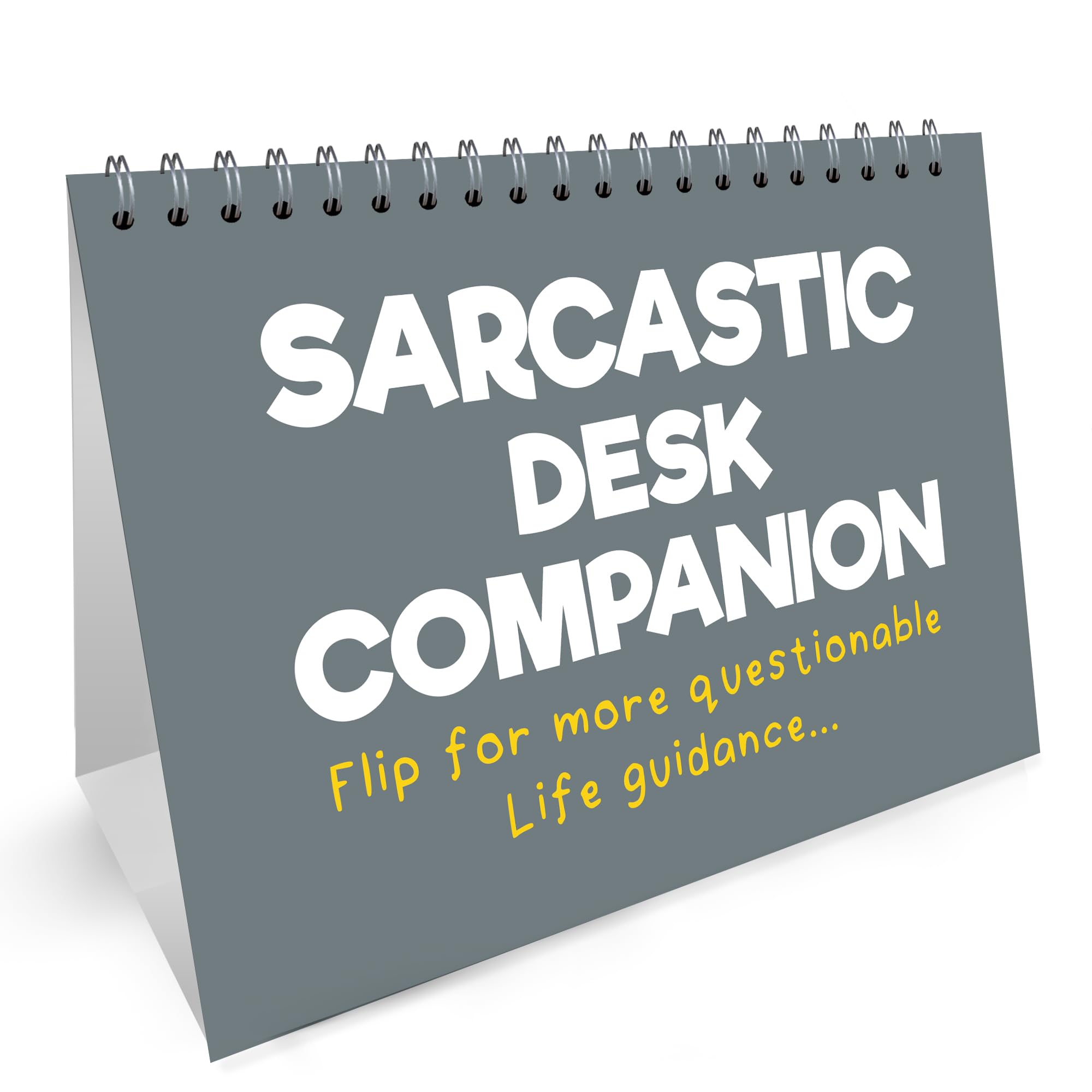RED OCEAN Funny Desk Calendar Sarcastic Office Companion Gift For Friend, Secret Santa Gift, Novelty Quotes for Desk, Joke Office Gift, Gifts For Women, Colleague Gifts For Birthday Christmas