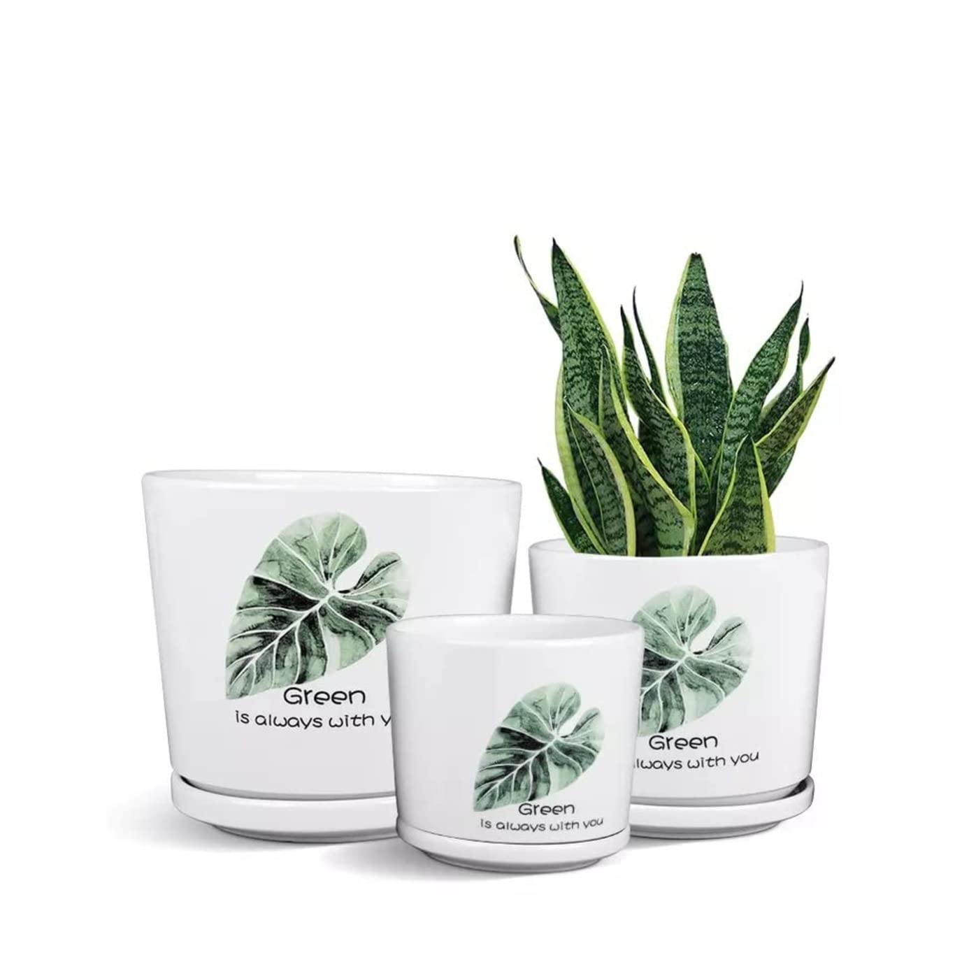 Garden Art Ceramic Set of 3 (A-11 Cm, B-14 Cm, C-16.7 Cm) Indoor Planter Pot with Drainage Hole and Saucer for Indoor Flower, Cactus, Succulent Plants| Home,Office Decor Ga37201-Gl, White and Green (B0B8CYL1KF) Amazon Price History, Amazon Price Tracker