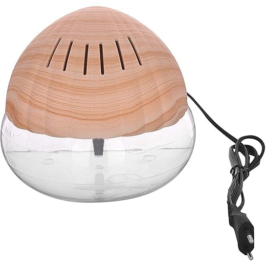 Dwiz Enterprise Room Air Purifier and Humidifier Revitalizer