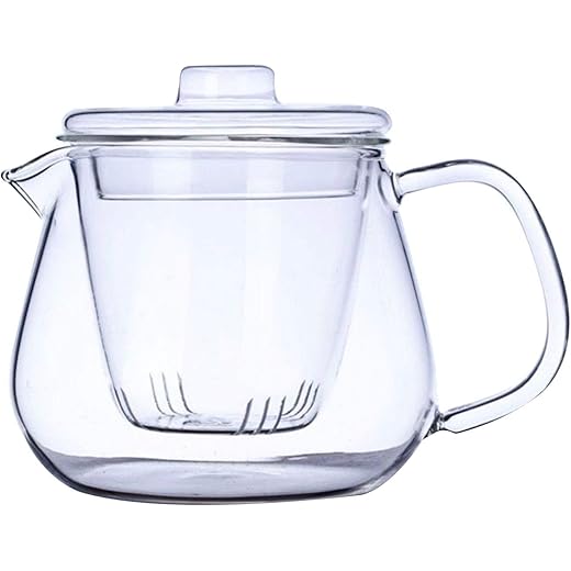 EZ Life Borosilicate Glass Tea Pot with Infuser Cup with Strainer Lid, Tea Kettle, Glass Teapot Kettle Coffee Pot Tea Kettle Cold Water Kettle - Great Gift idea - Transparent - 650 ml, 1 Piece