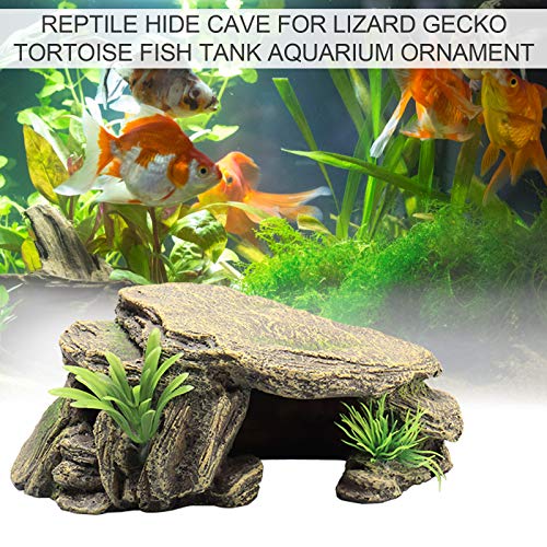 ZQO Piattaforma per Crogiolarsi in Rettile con