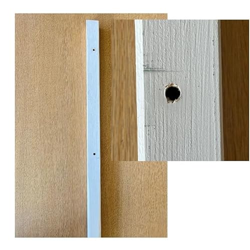 SETCW vJ[hŔpx ؐh 35mmp×1.2m