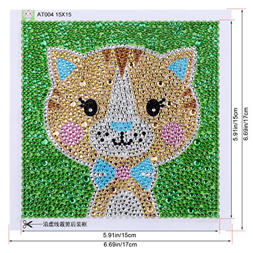 VETPW 5D DIY Pittura Diamante Kit Completo per