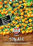 Tomate Sungold F1