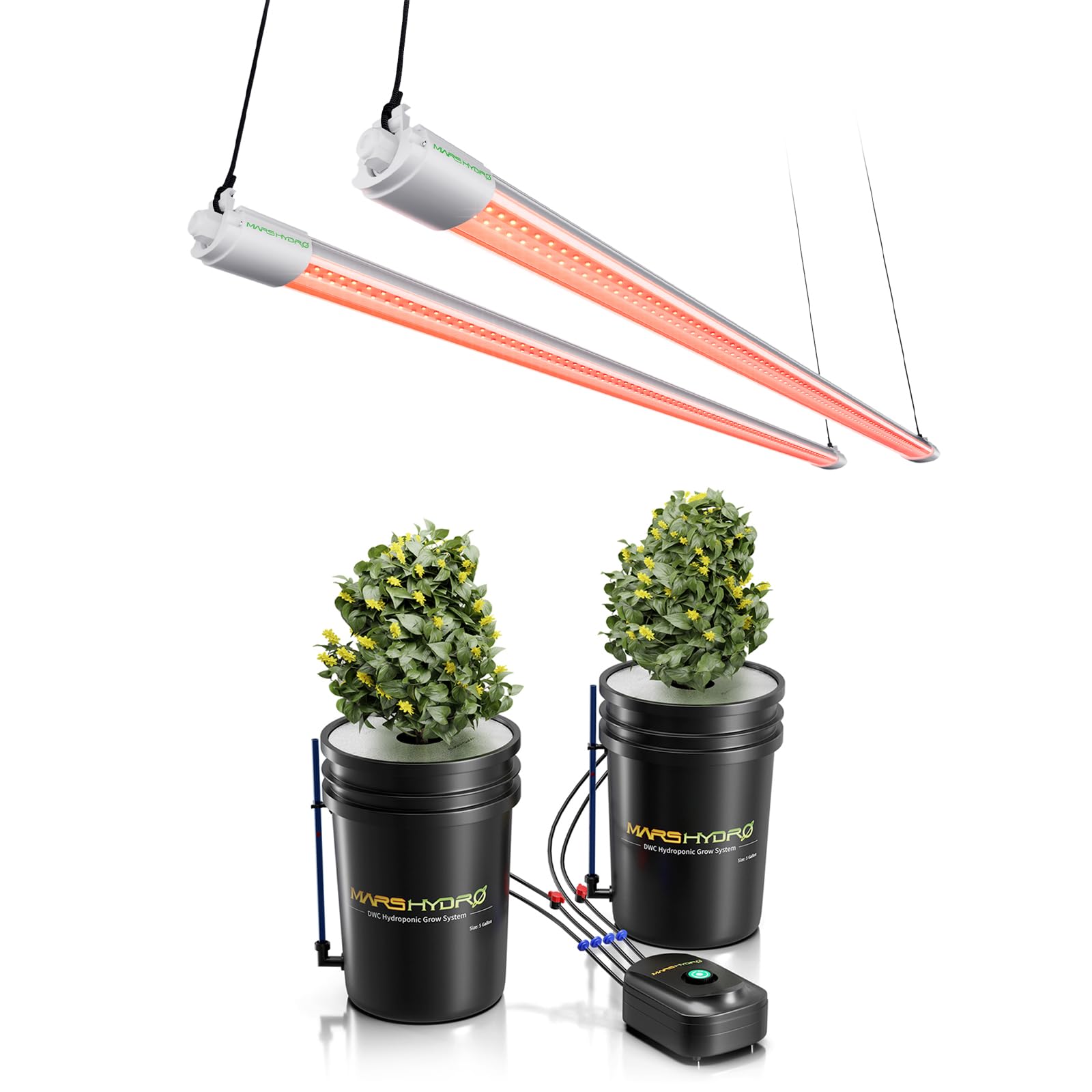 Amazon.com: Mars Hydro DWC Hydroponics Grow System with VG80-R Red Led ...