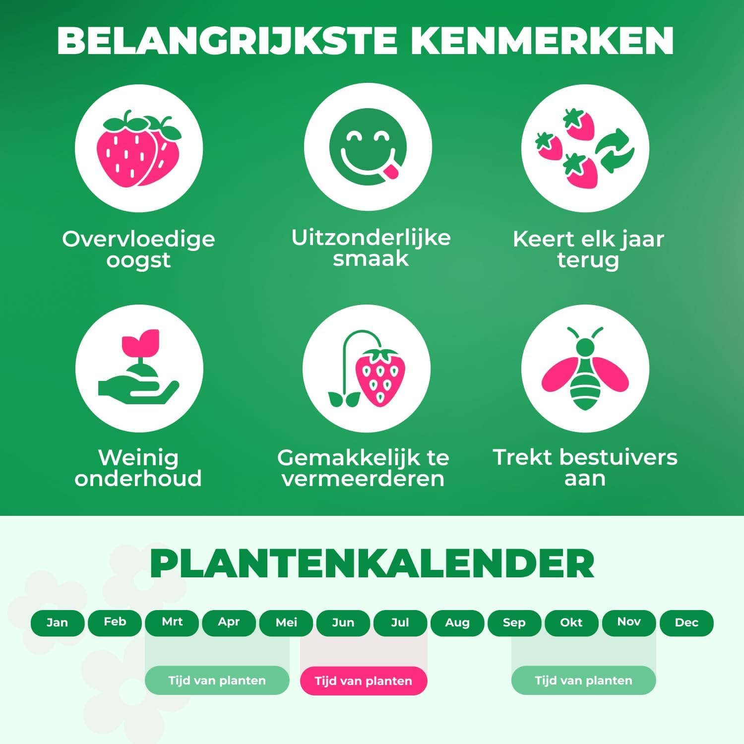 Verdaasdonk tekent meerjarig contract: De beste en mooiste club van Nederland