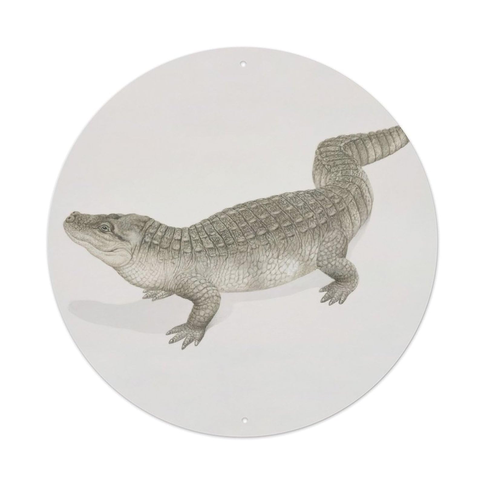 Wildlife Alligator Vintage Metal Tin Sign Plaque Wall Decor for Cafe, Club, Garden Round Metal Poster 8x8Inch