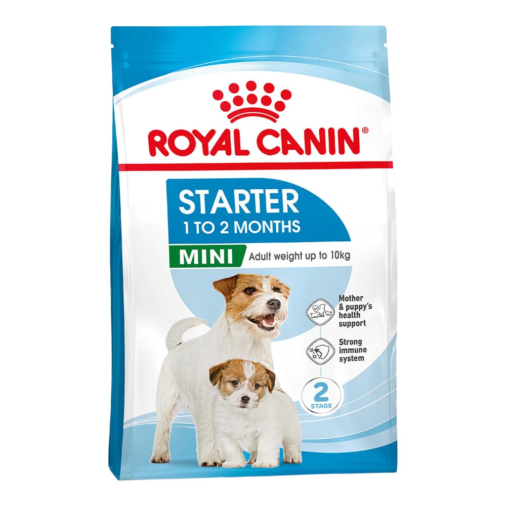 ROYAL CANIN Mini Starter Mother and Babydog 1kg
