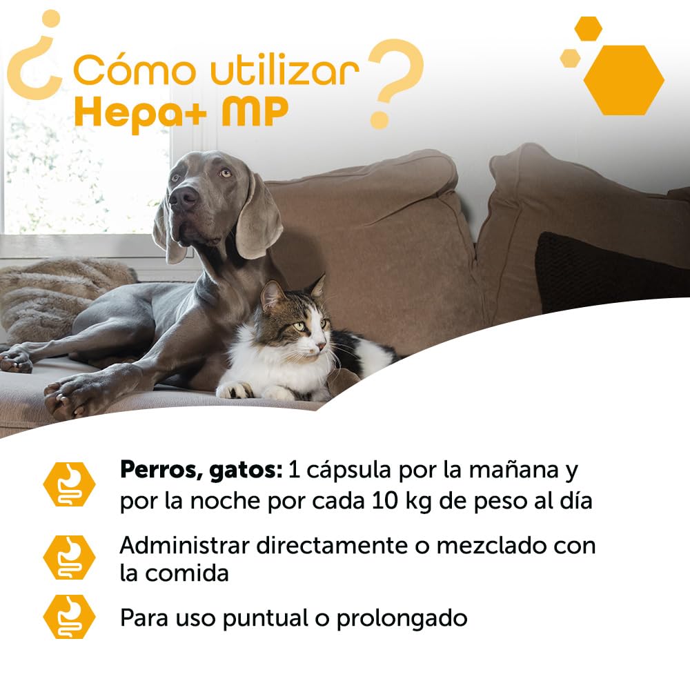 MP Labo Hepa + MP 60 cápsulas para proteger las células hepáticas y el buen funcionamiento del hígado y los conductos biliares en perros y gatos, contiene cardo mariano, ahumado y antioxidantes