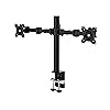 Amazon Basics Dual Monitor Stand with Height Adjustable Mounting Arm, 360 Degree Rotation, Adjustable Screen Tilt, Height and Cable Organizer (Steel), Black