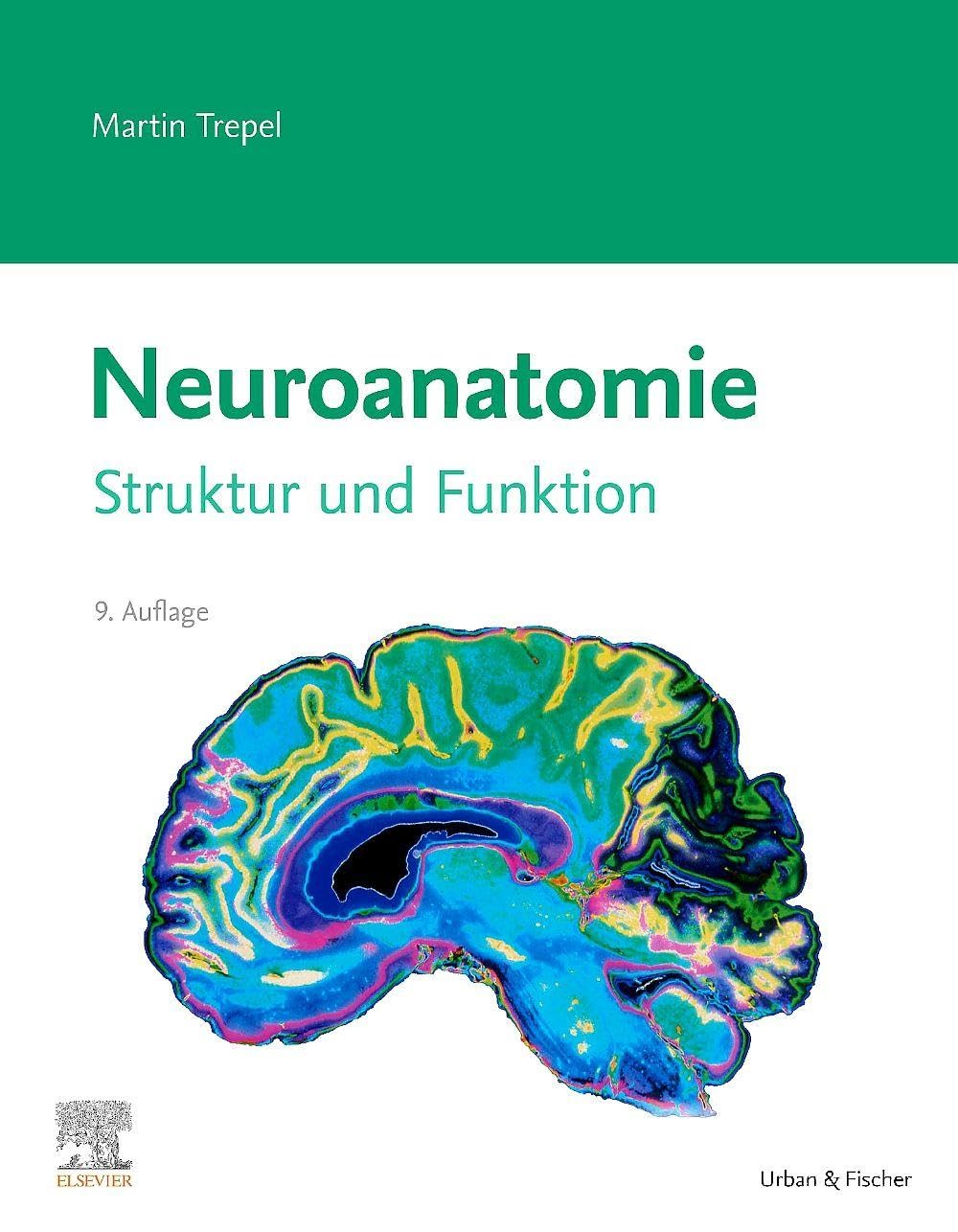 Neuroanatomie: Struktur und Funktion
