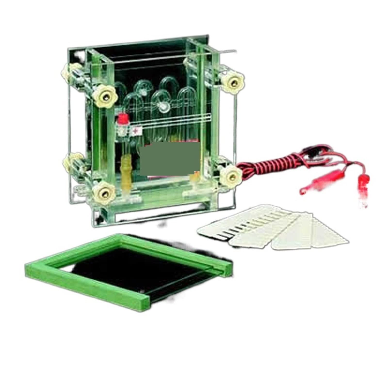 Aparat do elektroforezy, DYCZ-28A Pojedyncza Płytka Kanapkowa Pionowa Elektroforeza Instrument Do Elektroforezy W Zbiorniku Do Elektroforezy W Żelu Białkowym Łatwy w użyciu