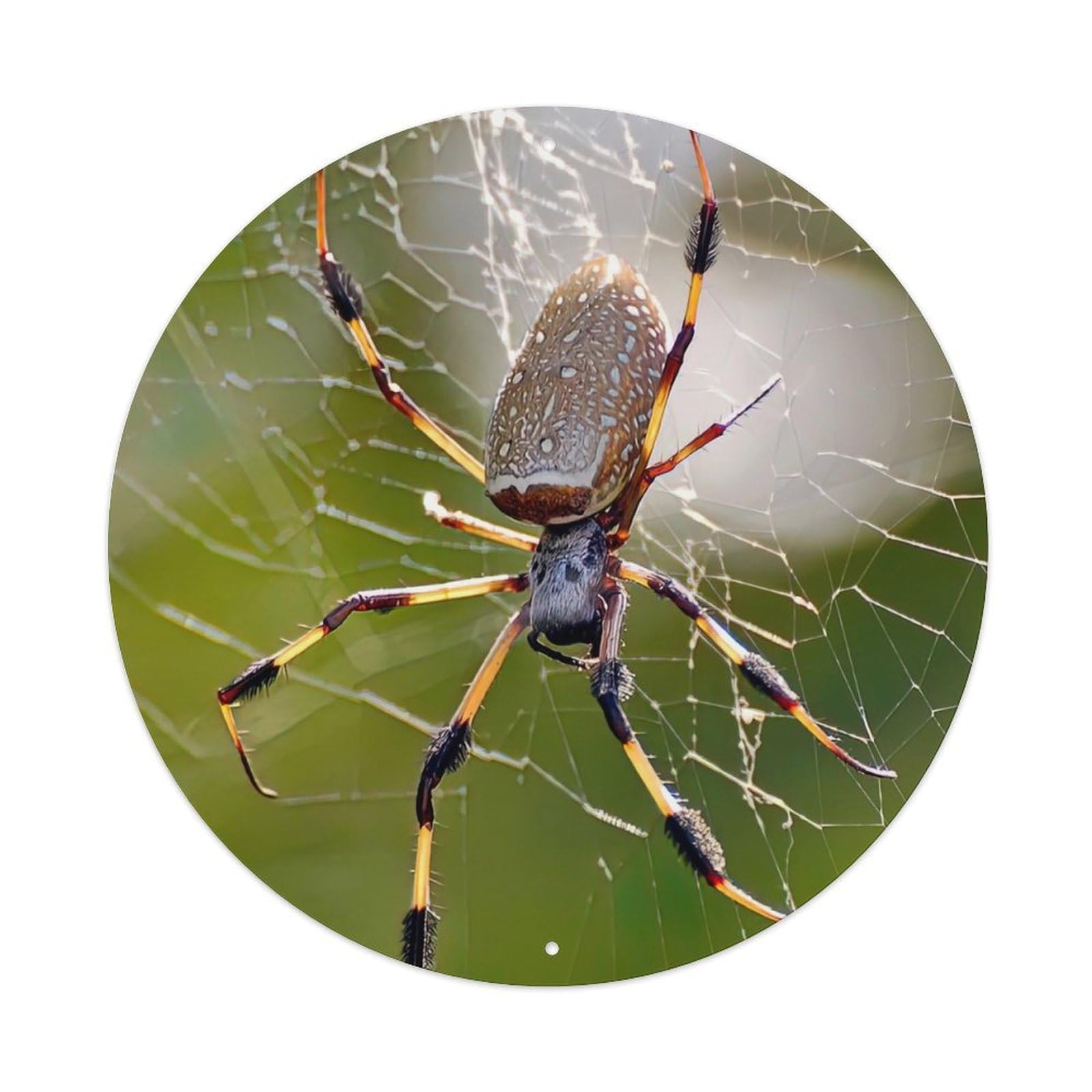 Animal Insect Golden Silk Orb-weaver Vintage Metal Tin Sign Plaque Wall Decor for Cafe, Club Bar, Office, Garden Metal Poster 8x8Inch