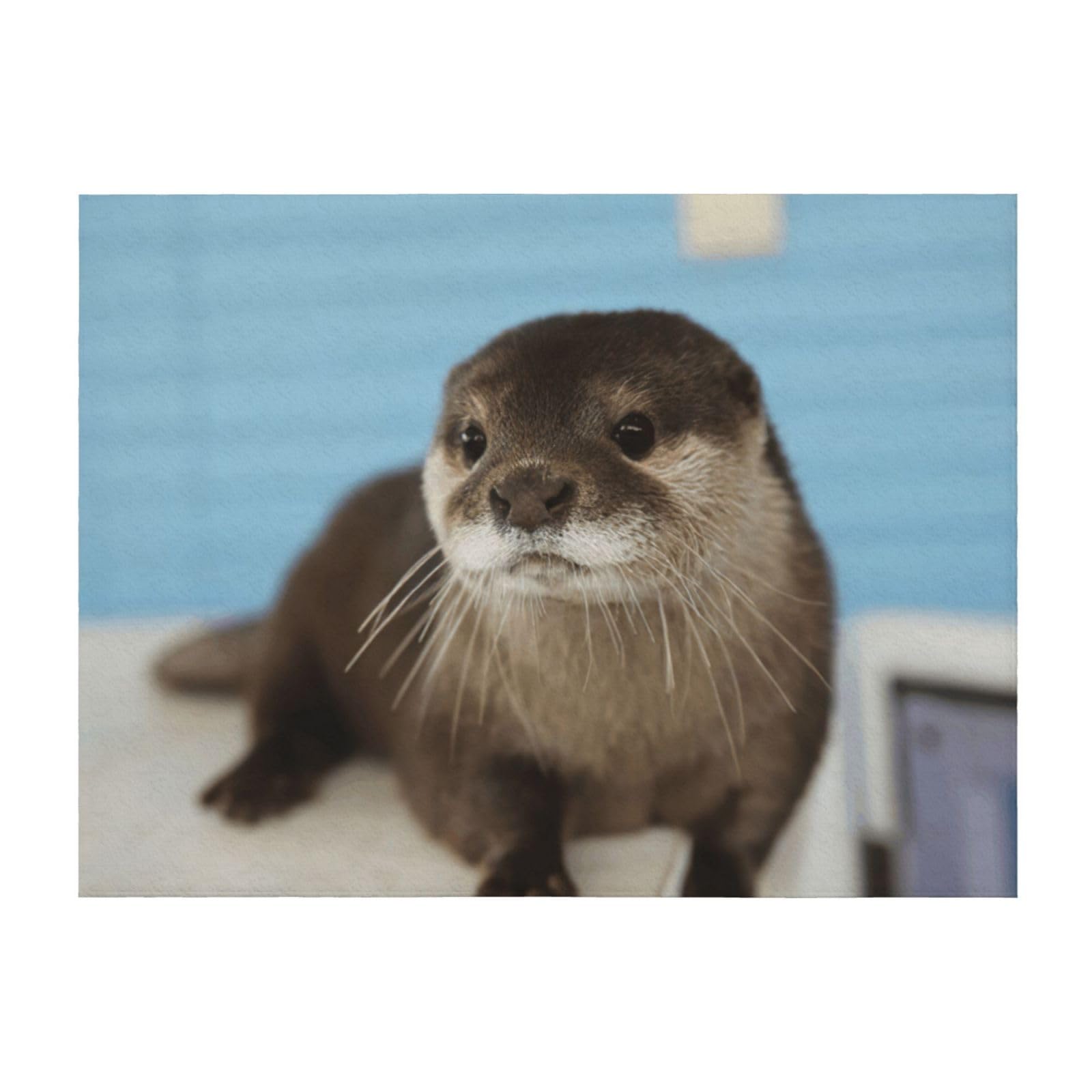 Couverture microfibre loutre douce couverture lit légère