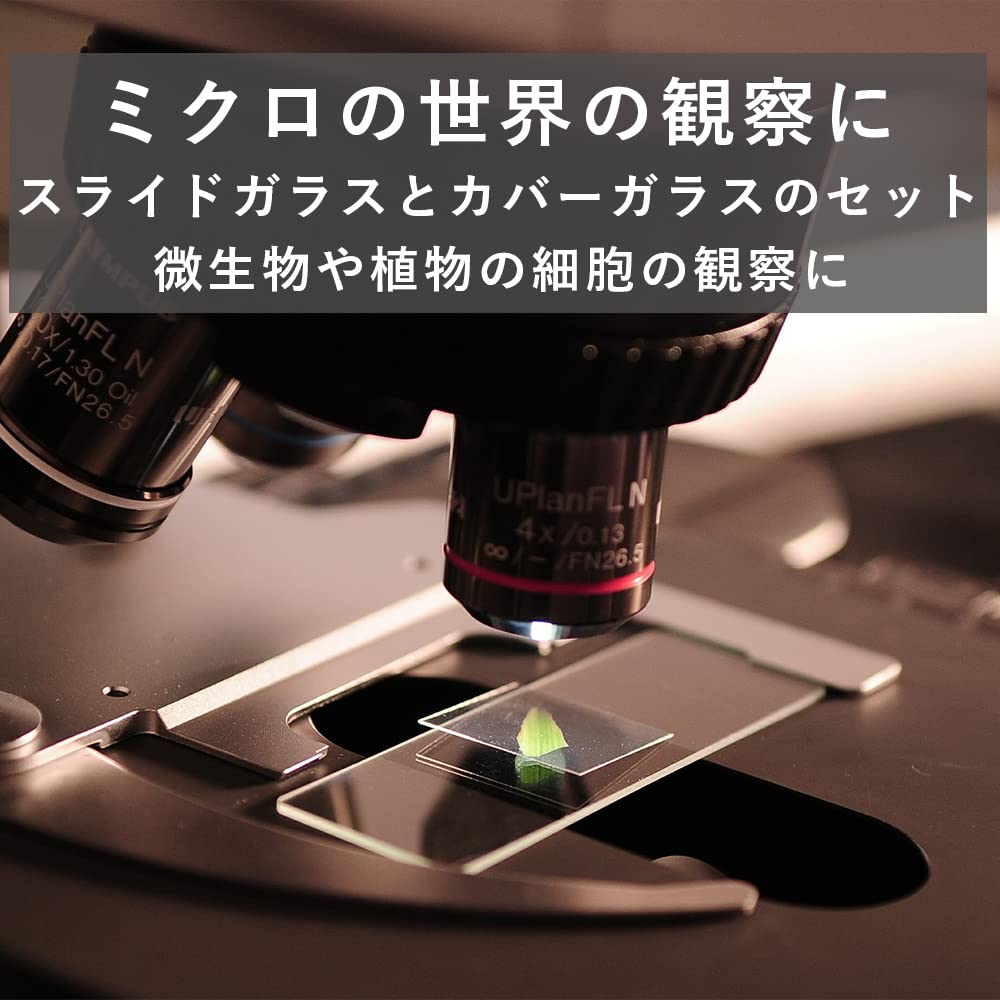 Amazon.co.jp: TKY スライドガラス 50枚 プレパラート スライドグラス 