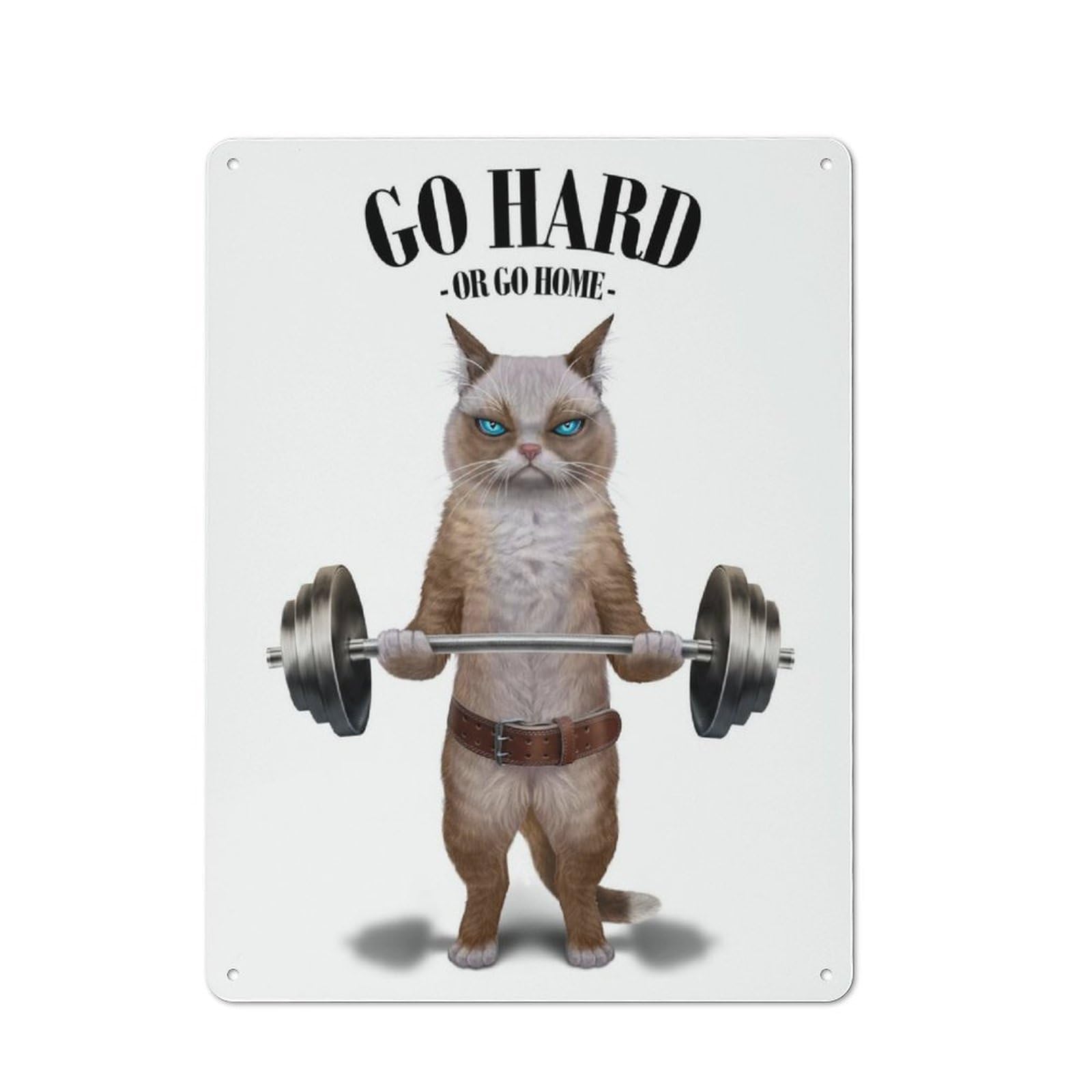 Junmoney Ragdoll Cat Weightlifting Retro Tin Sign 40X30cm For Workshop Wall, For Collectors Of Retro Metal Wall Decor