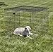 MidWest Homes for Pets Dog Exercise Pen Wire Mesh Sunscreen Top for Dog Pens and Playpens, Rust Resistant, Black E-Coated, Hardware Included, 540-WM