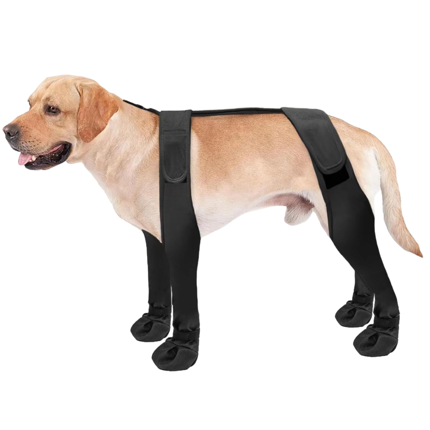 Chaussons pour chien avec bretelles antidérapantes et sangle