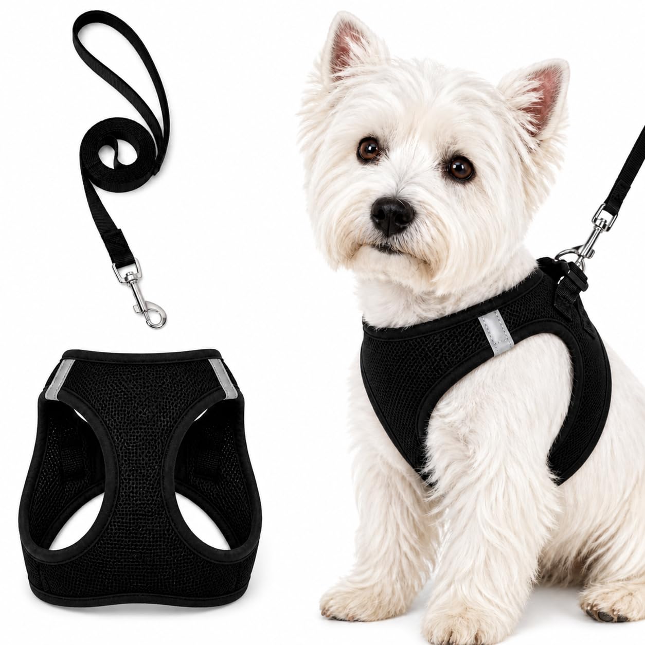 Reflective Small Dog Harness & Leash Set, No Pull Soft Mesh Puppy Vest, Adjustable Breathable Padded Harness with Safety Strap, Lightweight Outdoor Walking Gear for Puppies Small Breeds (Black, S)