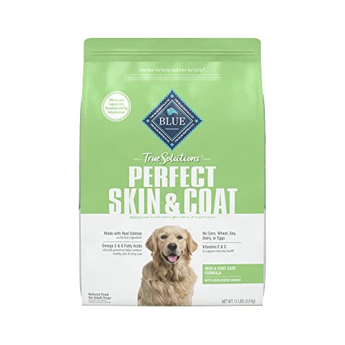 10 Best Dog Foods for Skin Allergies A Comprehensive Buying Guide