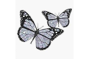 Reusable 5 Inch Butterfly Bumper Sticker for Cars LAB-CTMAGNETS-1478