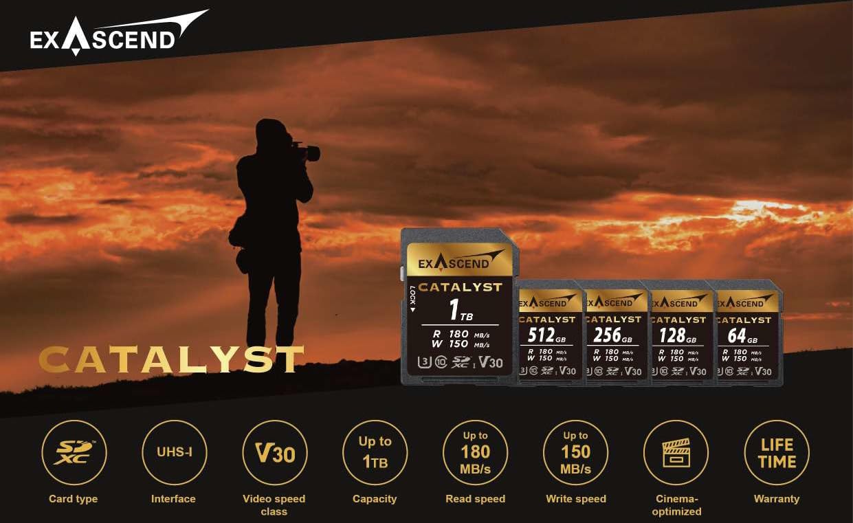 Exascend Catalyst - Tarjeta de memoria SDXC UHS-I V30 de 512 GB, 4K UHD de hasta 150 MB/s, velocidades de escritura, UHS-I, clase 10, U3, V30 (UHS-I V30, 512 GB)