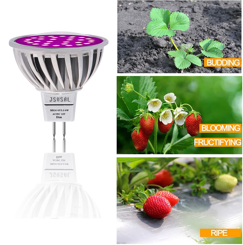 Lot de 2 ampoules de croissance de plantes 6 W, lampe de croissance à spectre complet, MR16 GU5.3 AC/DC 12 V Violet Reign Ampoule LED de croissance pour plantes