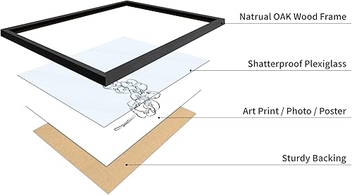 Miniatura 65 de Poster Master Póster de peonías – Estampado de flores retro – Ilustración floral – Ilustración en blanco y negro – Diseño de línea y abstracto –
