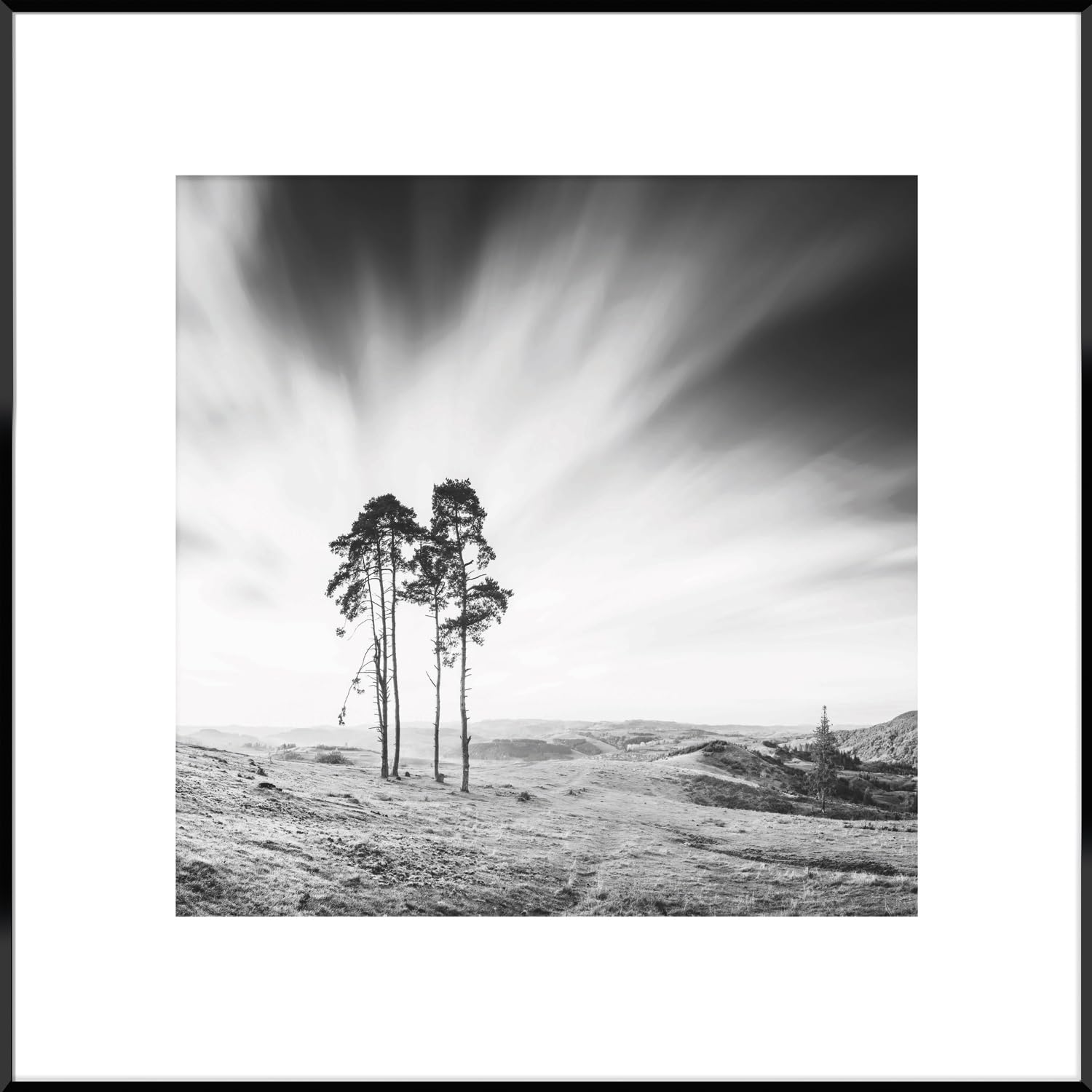 STYLER Gerahmtes Bild Trees 50 x 50 cm I Schwarz-Weiß Fotografie einsame Bäume in offener Landschaft minimalistisch I Wandbild Wohnzimmer Schlafzimmer Büro I Wanddeko Naturstil mit schwarzem Rahmen