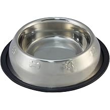 Arquivet 8435117824867 Feeder Stainless Steel antid Decor, 2