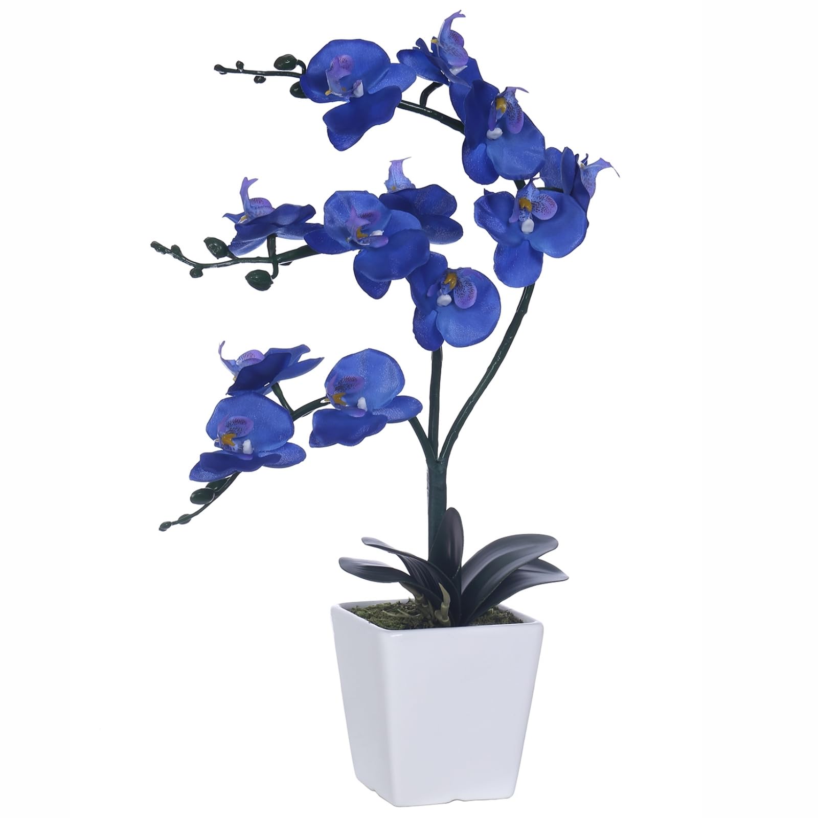 YSZL 15" Tall Artificial Silk Phalaenopsis Orchid Flower Plant Pot Arrangements (Navy Blue)