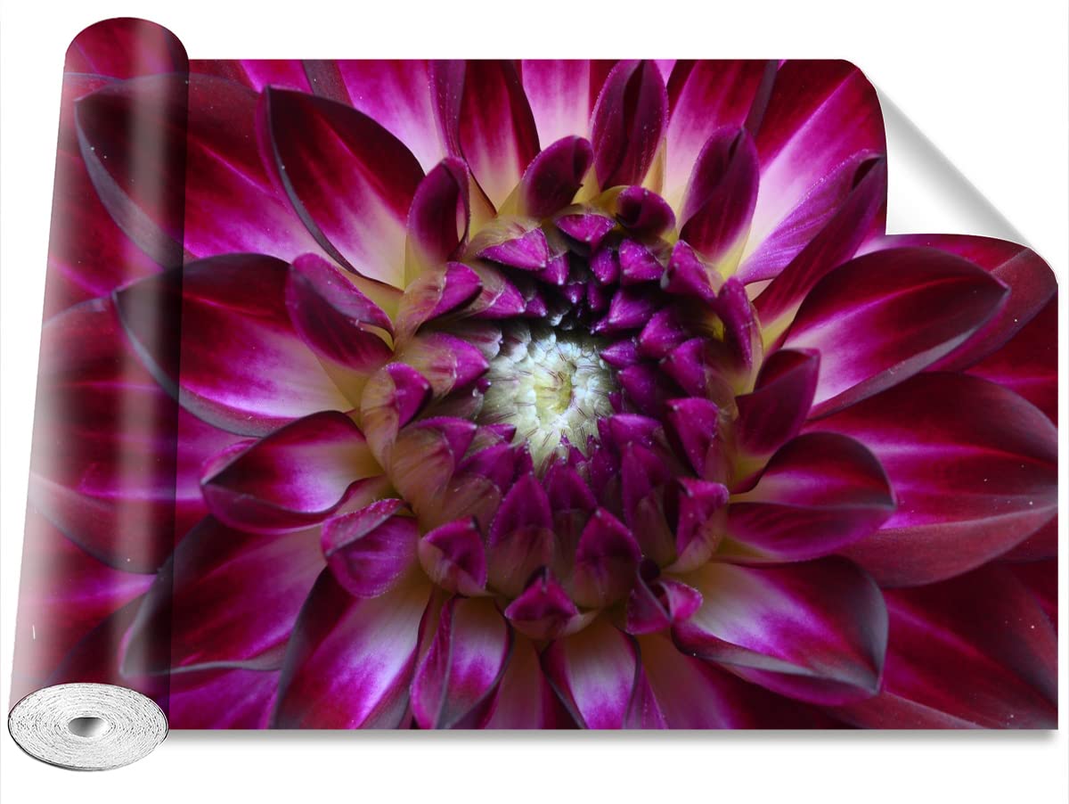 Papier peint auto-adhésif aster violet pour masquer et décorer un mur 152x104cm