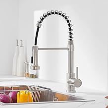 Rubinetto Lavello Cucina, Auralum Rubinetto Cucina con Doccetta Estraibile, Miscelatore Cucina Girevole a 360° Monocomando, Rubinetto Cucina in Acciaio Inox con Bocca Alta, Doppia modalità