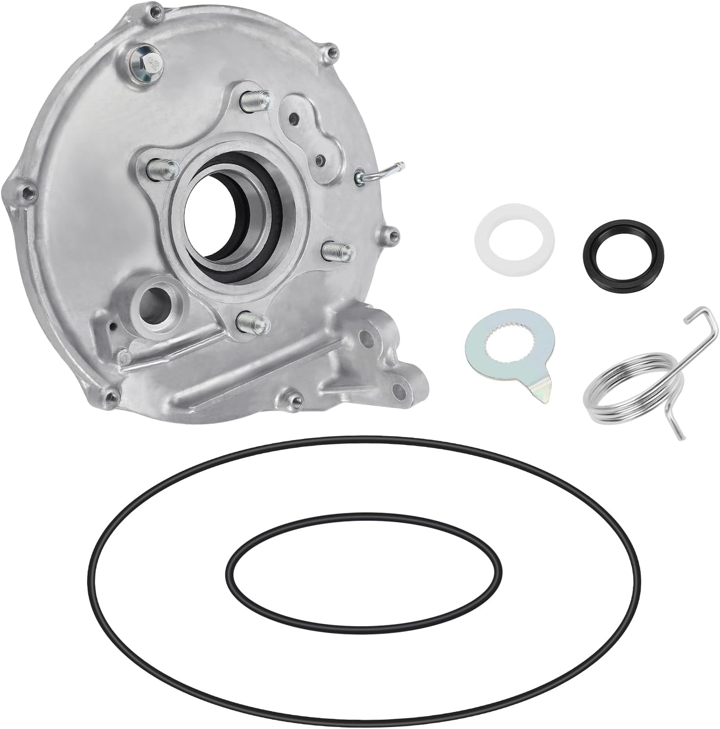 Rear Brake Backing Plate with Bearing Seals Kit for Honda Rancher 420 2007-2013
