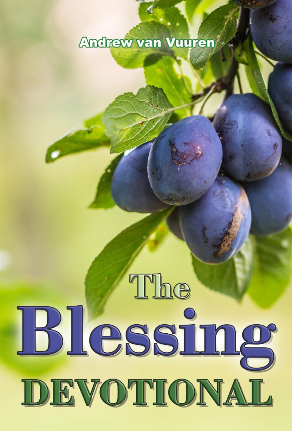 The Blessing Devotional