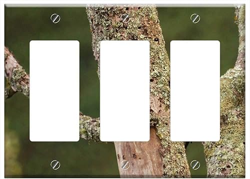 Switch Plate Triple RockerGFCI - Birds Nature Armenia Quindio Colombia 3