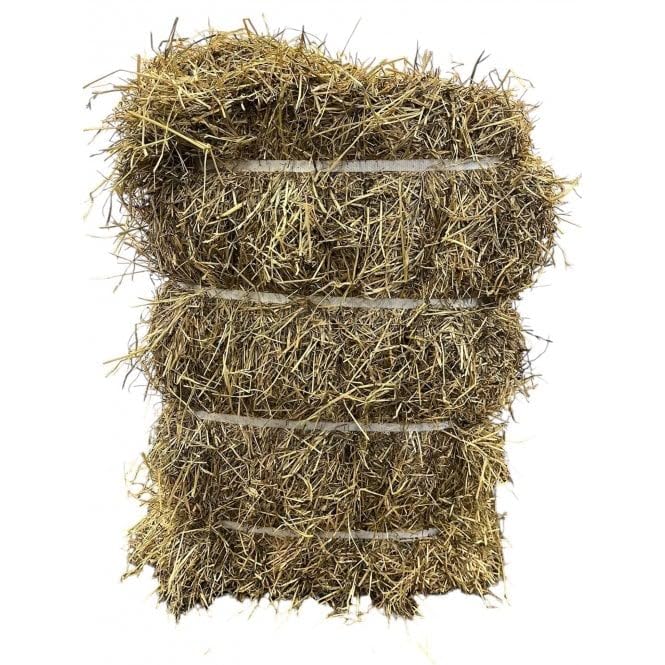 Fearns Farm Premium 12.5kg Banded Hay Bale Dust Extracted First Cut Timothy & Ryegrass Mix High Fibre Hay for Rabbits Guinea Pigs Horses & Alpacas British Grown Eco-Friendly & Natural