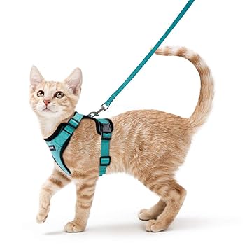 シュシュ型ハーネス(ピンクローズ)&リードセット、わんちゃん猫ちゃん用 シュシュ型ハーネス(ピンクローズ)&リードセット、わんちゃん猫