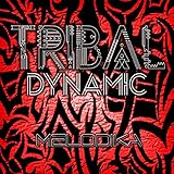  Melodika - Tribal Dynamic (original Mix) (remix)