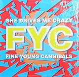  She drives me crazy [Vinyl Single]
