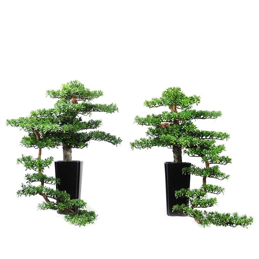 TEESONG Bonsai Tree Pot for Fake Tree Bonsai Plant Simulation Sample Room Root Carving Creative Welcome Pine Home Living Entrance Ornaments Greenery Decor